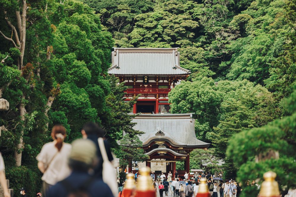 Kamakura Getaway Collection